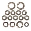 Carisma GT16MB/GT16mt Bearing Set